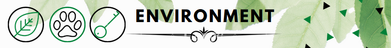 environment banner