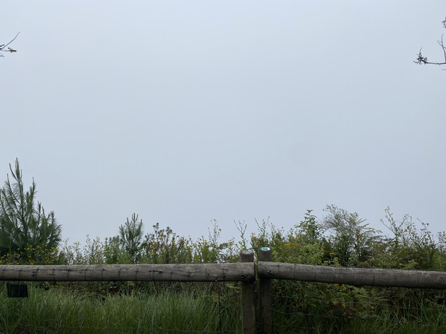 IMG-9396