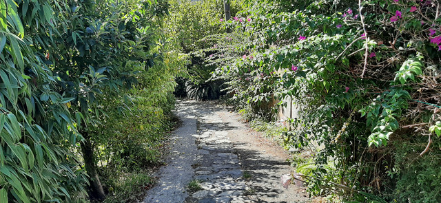 20210818-111007.jpg