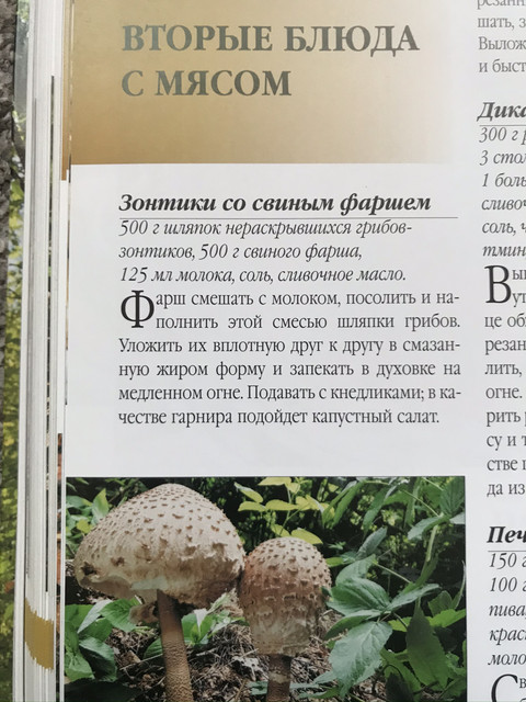 Parasol-2.jpg