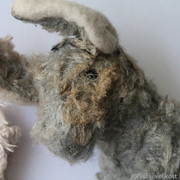 IMG-6737