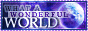bannwowonder