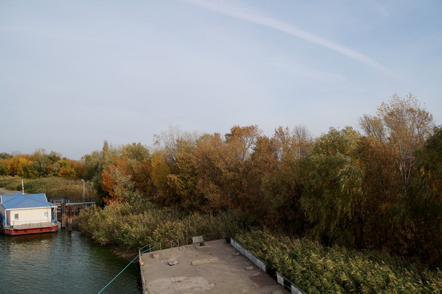 DSC08157.jpg
