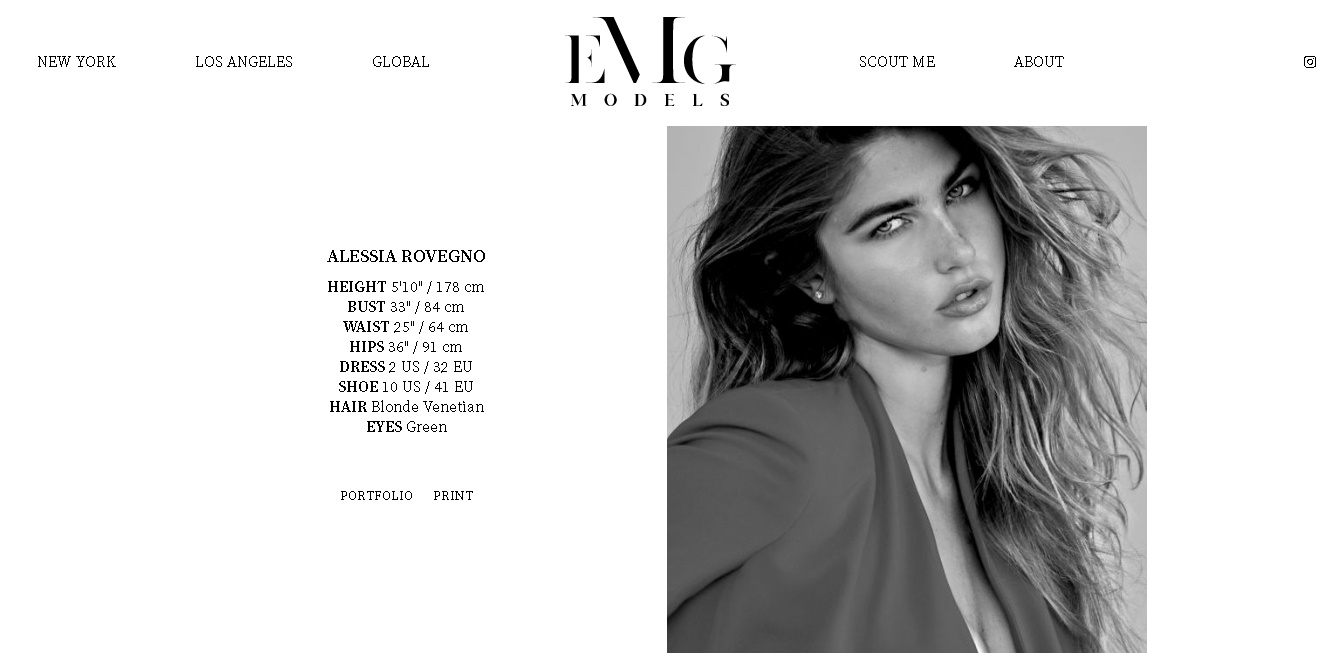 Model.jpg