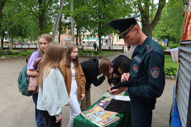 IMG-3391