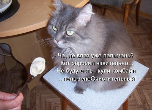 unnamed.jpg