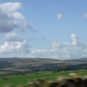 DSCF9114