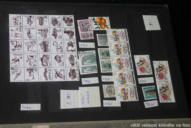 IMG-3556.jpg