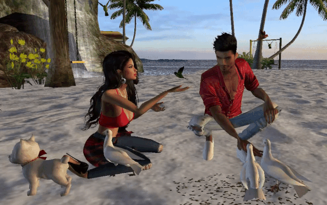 59081547126920e7e17fb8d435bd0c8d.gif