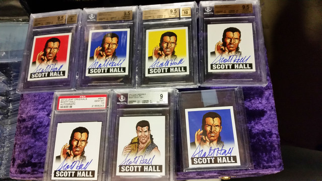 Razor Ramon Card Scott