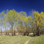 100c000944m