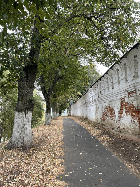 IMG-8237