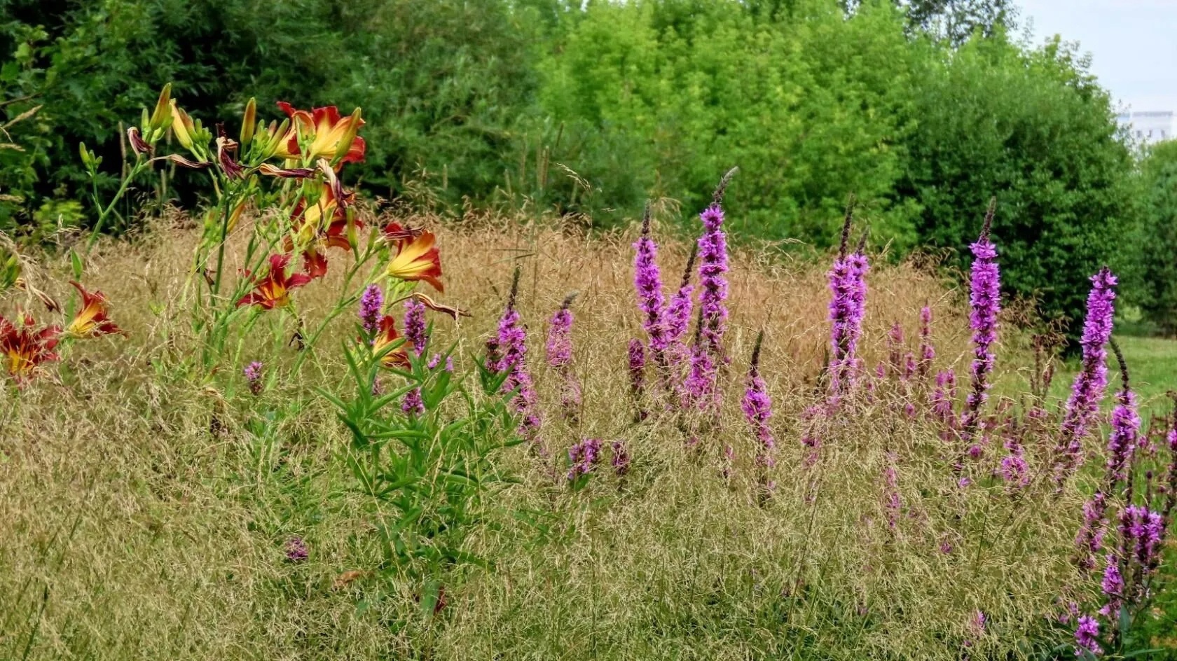 e-LXPh-UZSe-Uzaapl-C-h-YAge6-WJDK7c-KBIBfdpjsg-MEUl-JWMyqr-AYRH60-Agn-Pvu-UUg-Gat-L5-S3x-Kx-Sv-Uio-J