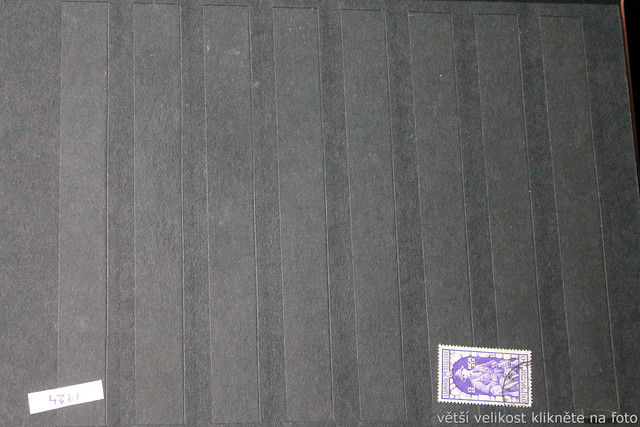 IMG-6979.jpg