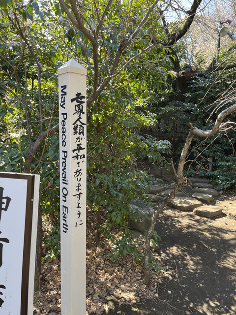 IMG-2625.jpg