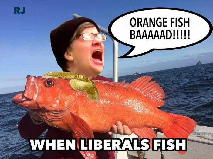 orangefish.jpg