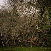IMGP0084