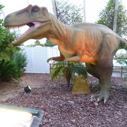 Allosaurus