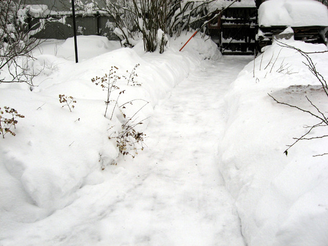 IMG-0822