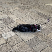 IMG-05001