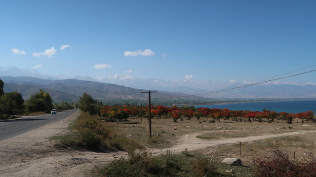 191.jpg