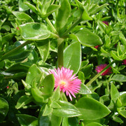 2010-06-03-69