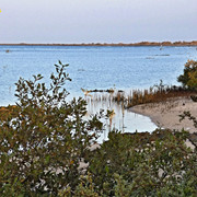P1290089