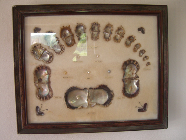 CIMG0196.jpg