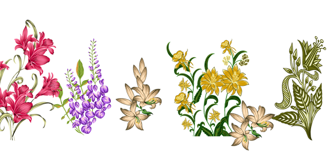 7bc97dc6b6df506d98d3eef97eeadb6a