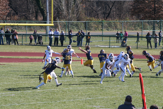 IMG-2947.jpg