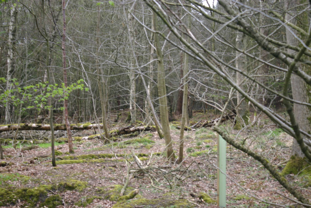 IMG-0126