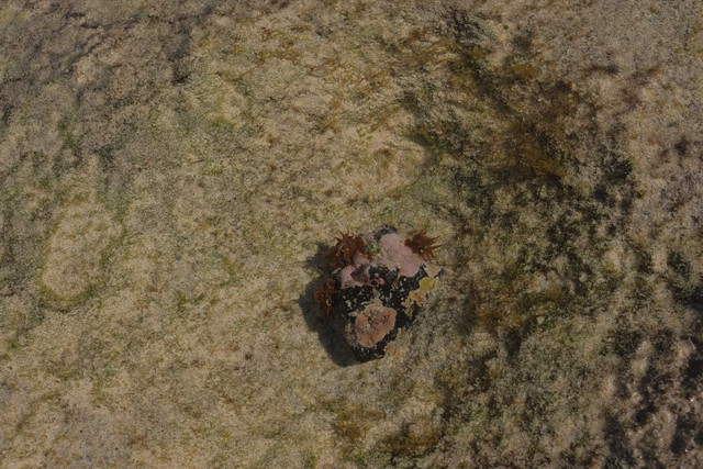 DSCF8590.jpg