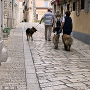 IMG-2023