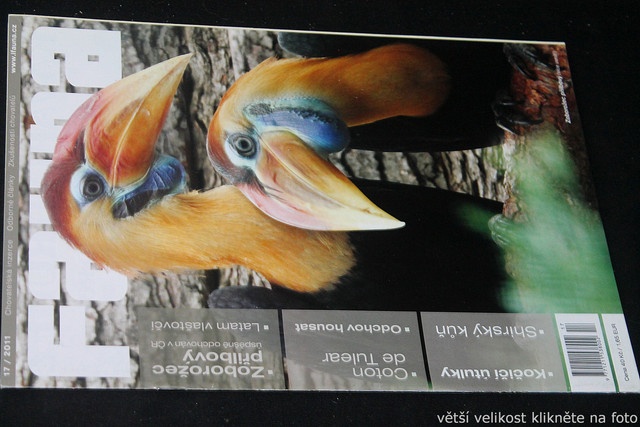 IMG-7738.jpg
