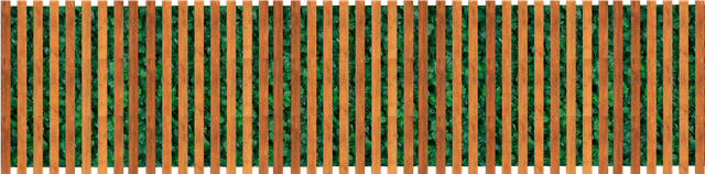 tapa-2.png