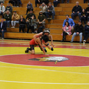 IMG-0081