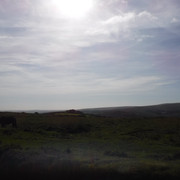 DSCF5520