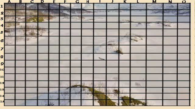Start2023.jpg