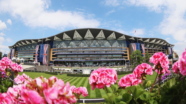 Ascot2.jpg