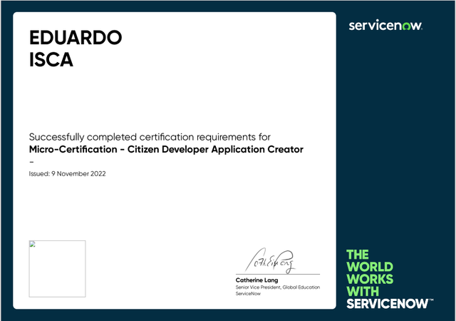 Citizen-Developer