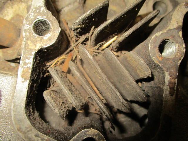 IMG-8980.jpg