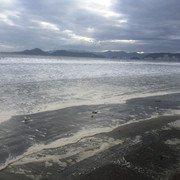 IMG-3500