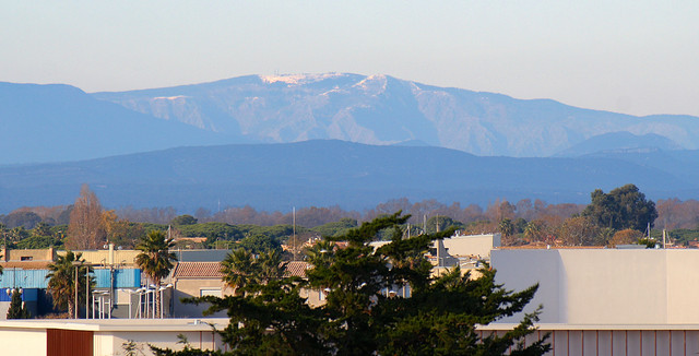 IMG-3347