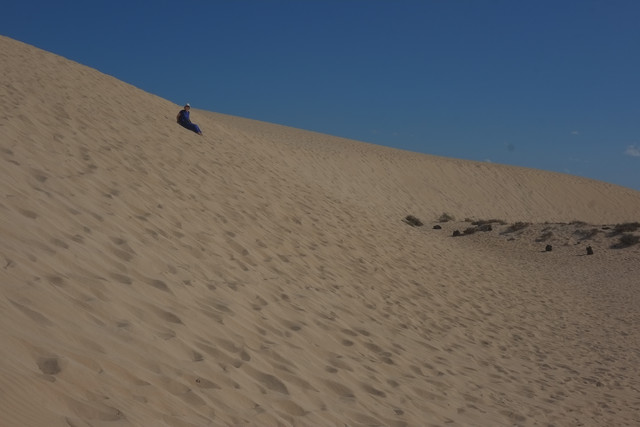 DSCF8585.jpg