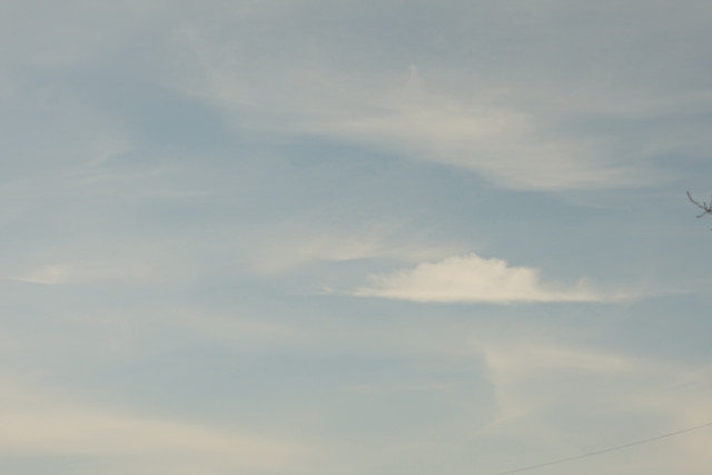 DSC01118