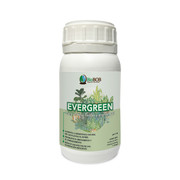 GREEN-6
