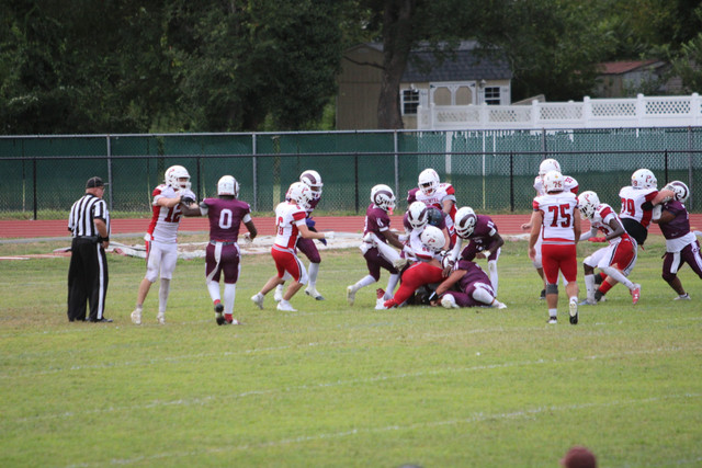 IMG-2828.jpg