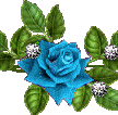 0-d23ec-43992967-L