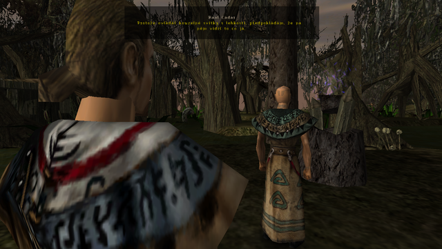 Walkthrough 40