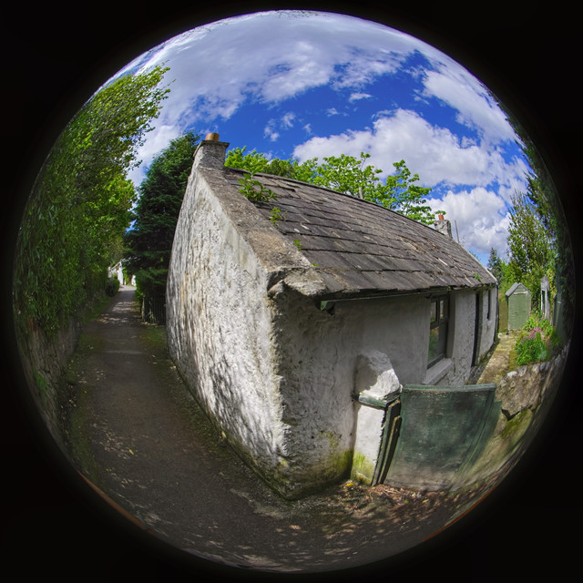 DSCF4977.jpg